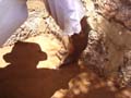 DSC00499