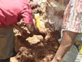DSC00515