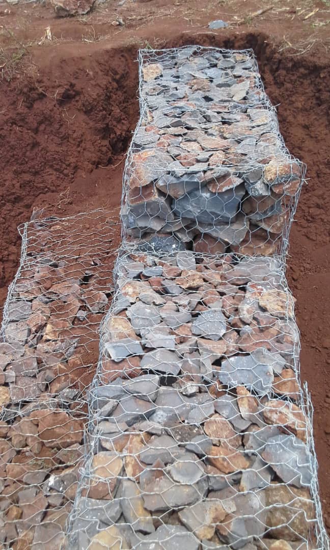 Rehabilitation of an erosion gully - Liana